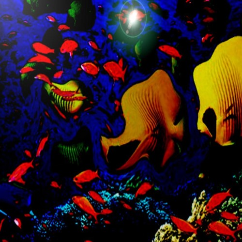 Analog Dolphins Are Making A Party