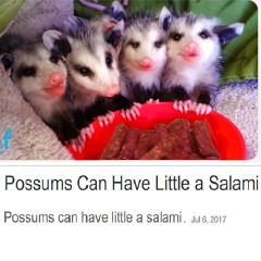 Thom Yorke Is In My Kitchen And He's Eating My Lunch Money