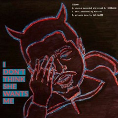 IDONTTHINKSHEWANTSME - CASILLAS (Prod. NICASSO) 1