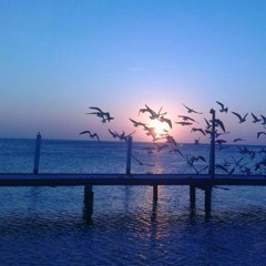 Duncan Spock - Autumn Techno Mix (17-11-2019)