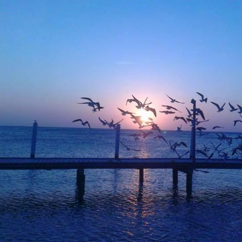 Duncan Spock - Autumn Techno Mix (17-11-2019)