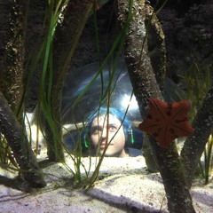 I accidentally made some Tycho [WIP]