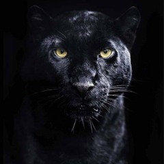 StaFFord63_-_Reinkarnaciya_(mp3.mn).mp3