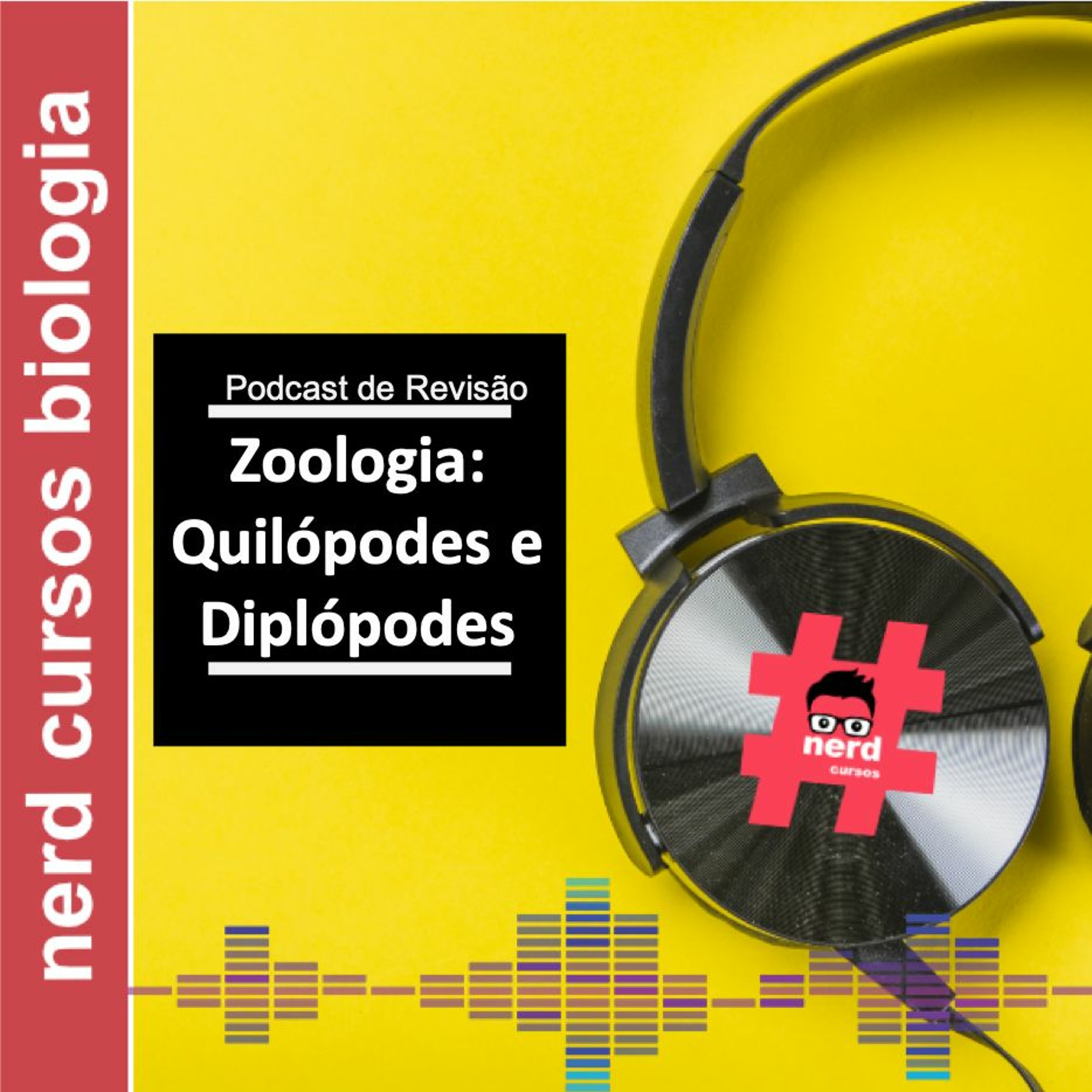 Revisão - Quilópodos E Diplópodos