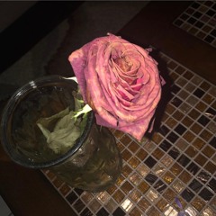 16 Months w/ absolute