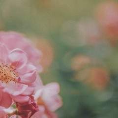 the only exception