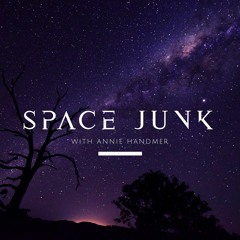Space Junk - Space and Bushfire Management (with Professor John Handmer)