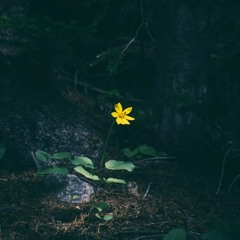 Bryson tiller type beat "I want you here"