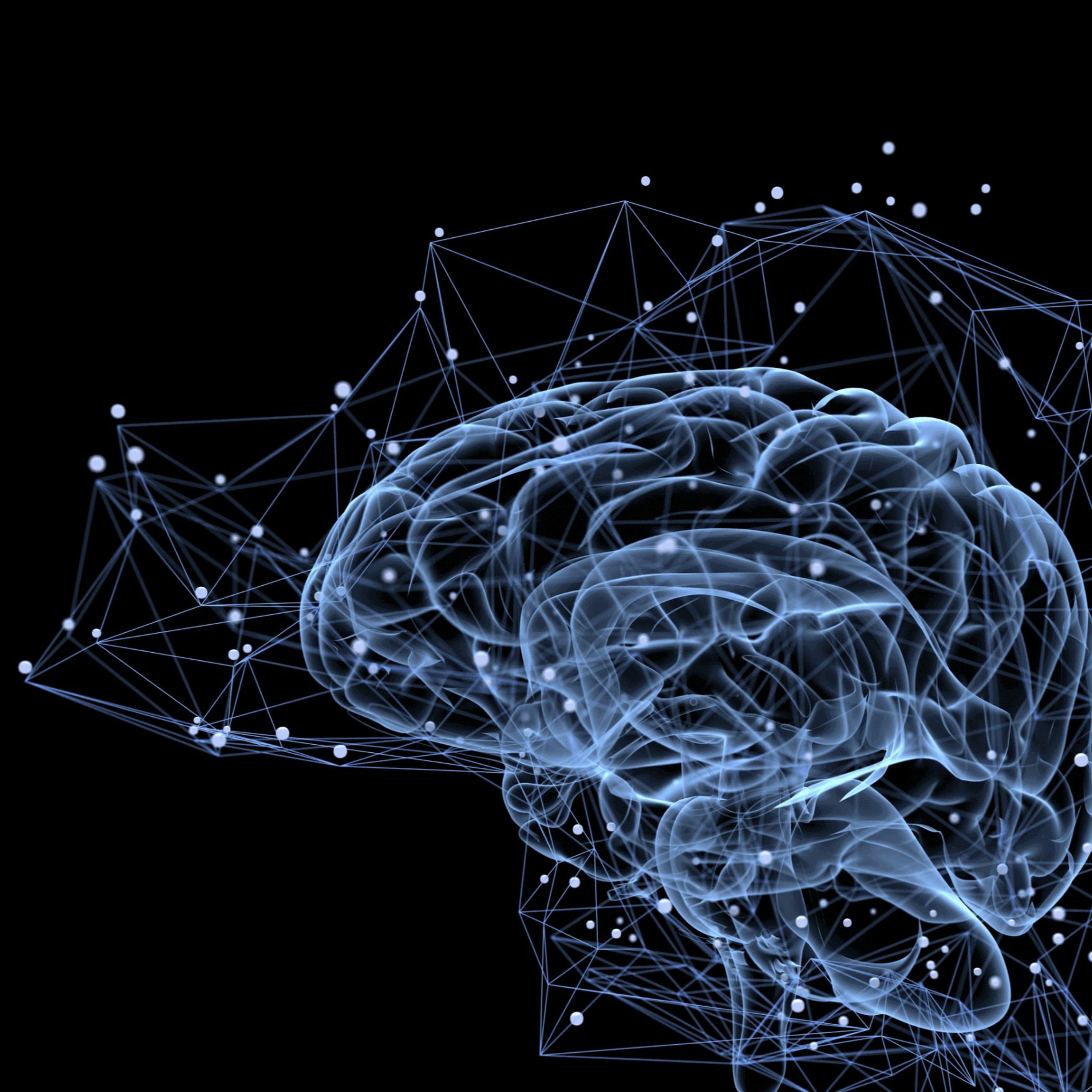 Загадки мозга и современная физика. Семинар. Алексей Чуличков, Елена Белега. Москва episode artwork
