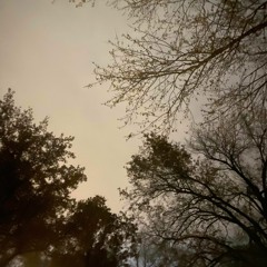 Lo-Fi