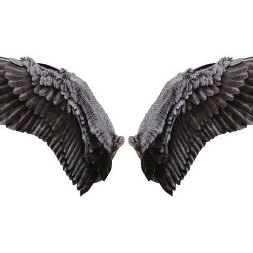 Stream Wings by KDaGreat | Listen online for free on SoundCloud Wings
