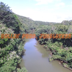 ROLLIN' prod. junglekeys