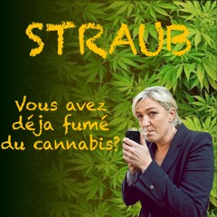 STRAUB - Vous avez déjà fumé du cannabis? (FRENCHCORE)