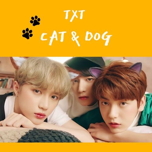 Stream 투모로우 바이 투게더(TXT) - Cat & Dog cover by 빈니 | Listen online for free on  SoundCloud