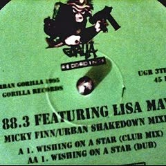 88.3 Featuring Lisa May Wishing On A Star
