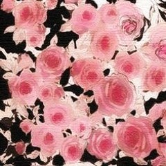 FKJ - 100 Roses (Skipped and Slowed)