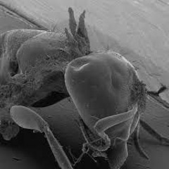 KINK JIT$ (PROD. YXNGI)