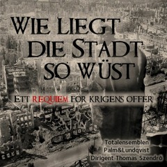 Requiem för krigens offer