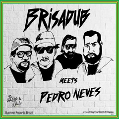 Snow Rock Riddim - Brisadub meets Pedro Neves
