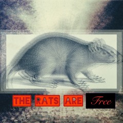 The Rats are Free (Kaby & Jim)
