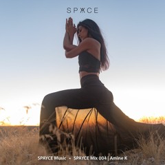 SPAYCE Mix 004 | Amine K