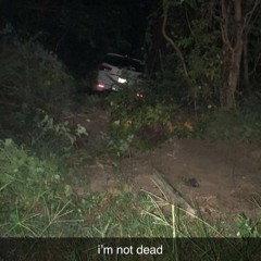 they found his bones in my basement