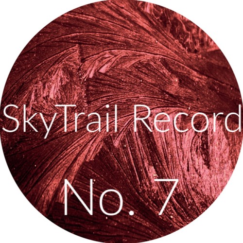 PLERI - SkyTrail Record No. 7