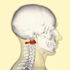 Audio Cuello-mareos-vértigo