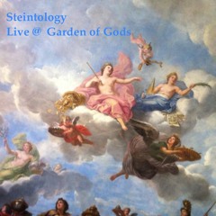 Steintology | Live @ Garden of Gods | Nov 16, 2019