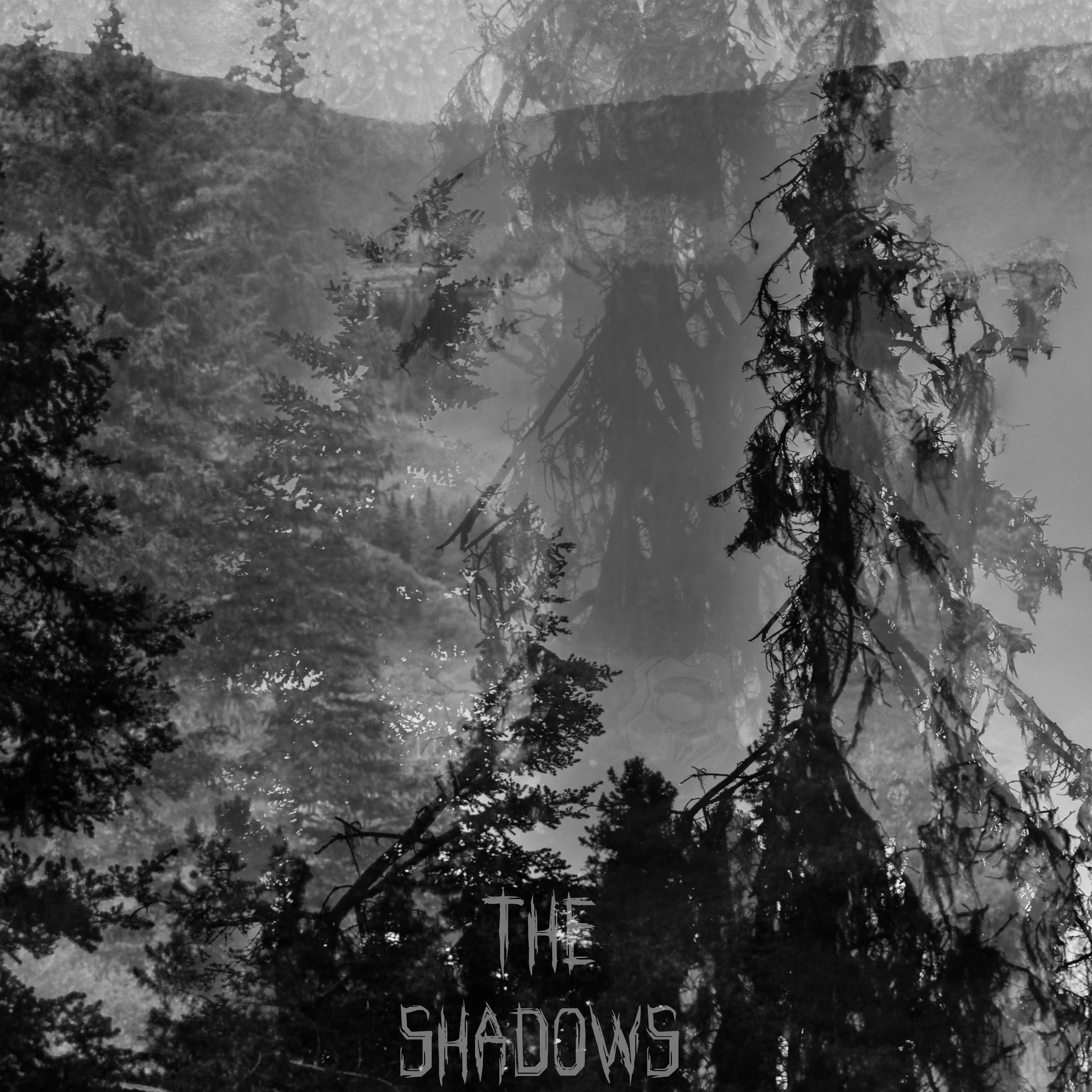 The Shadows episode artwork