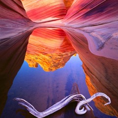 [Free] ”Beast Mode” | Drake x Young Thug Type Beat | 2019 Hard Lit Instrumental