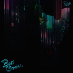 Tuff Tapes 6 // Bass Canviss