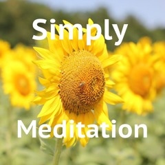 Simply Meditation Listening To Silence Talk Plus Guided Meditation