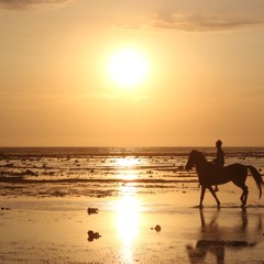 The Civil Wars - My Fathers Father (cover)