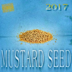 Mustard Seed