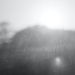 Tiny Grass Is Sleeping