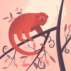 Littleanimals