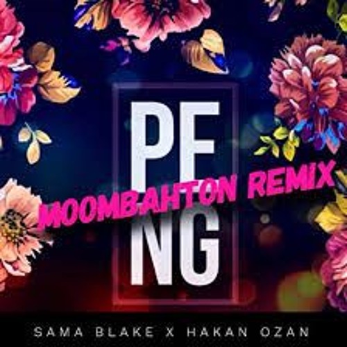Sama Blake X Hakan Ozan - Peng Moombahton Remix/Dhanyaal khan