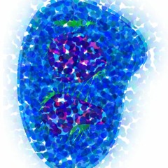 Funky Organelle Jams