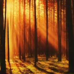 Sun Rise (unmastered)