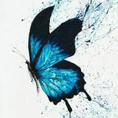Snipes & Murf -Butterflies