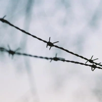 Carnage Visors w/Inkubator Soundcloud podcast image for Carnage Visors w/Inkubator