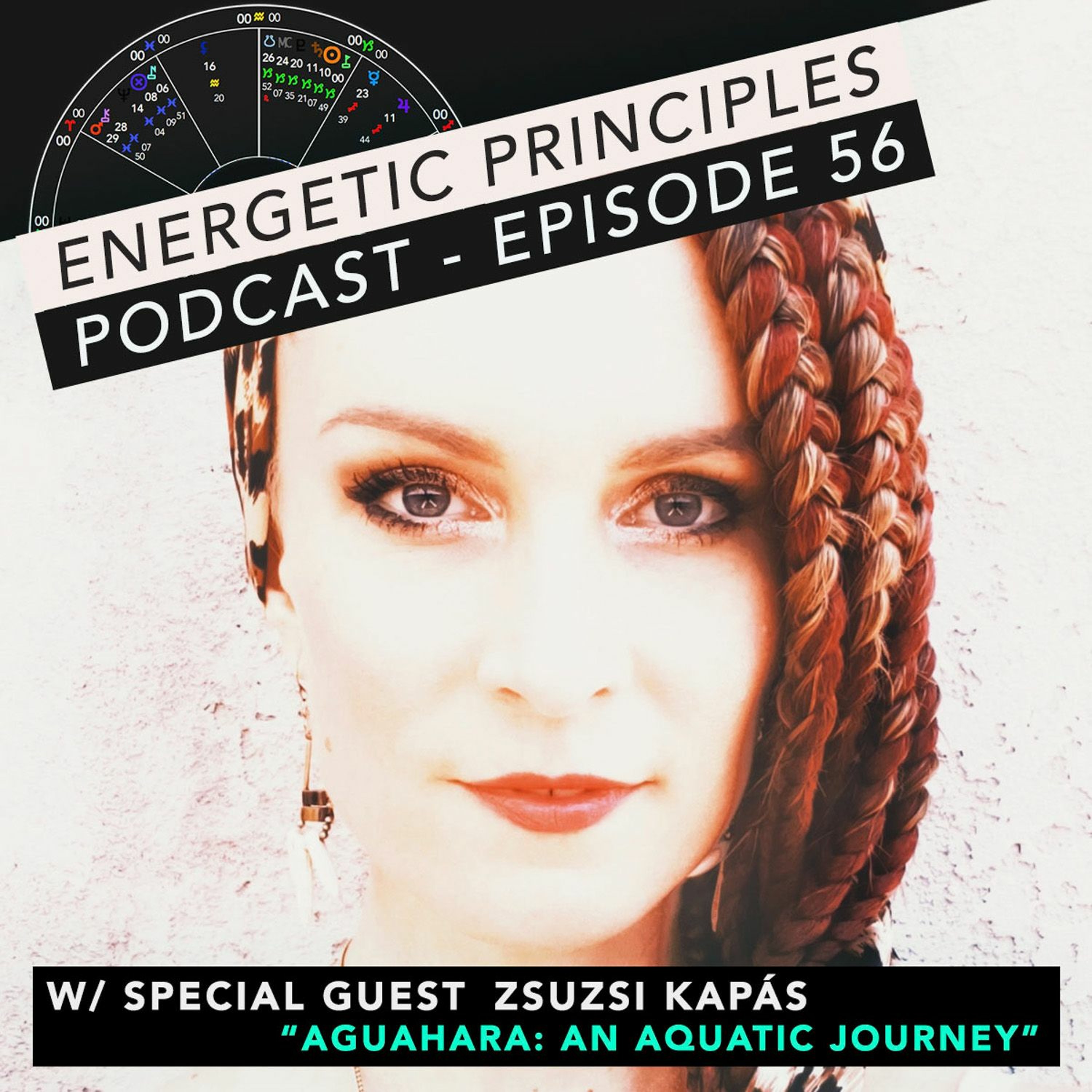 Energetic Principles Podcast