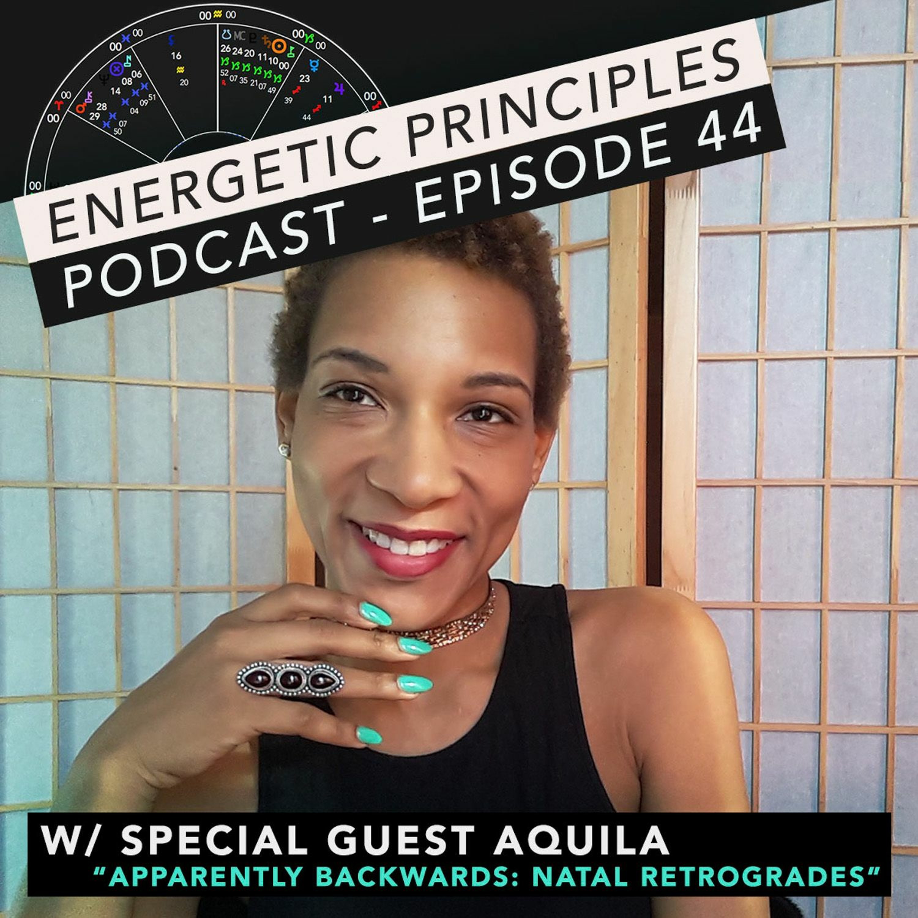 Energetic Principles Podcast