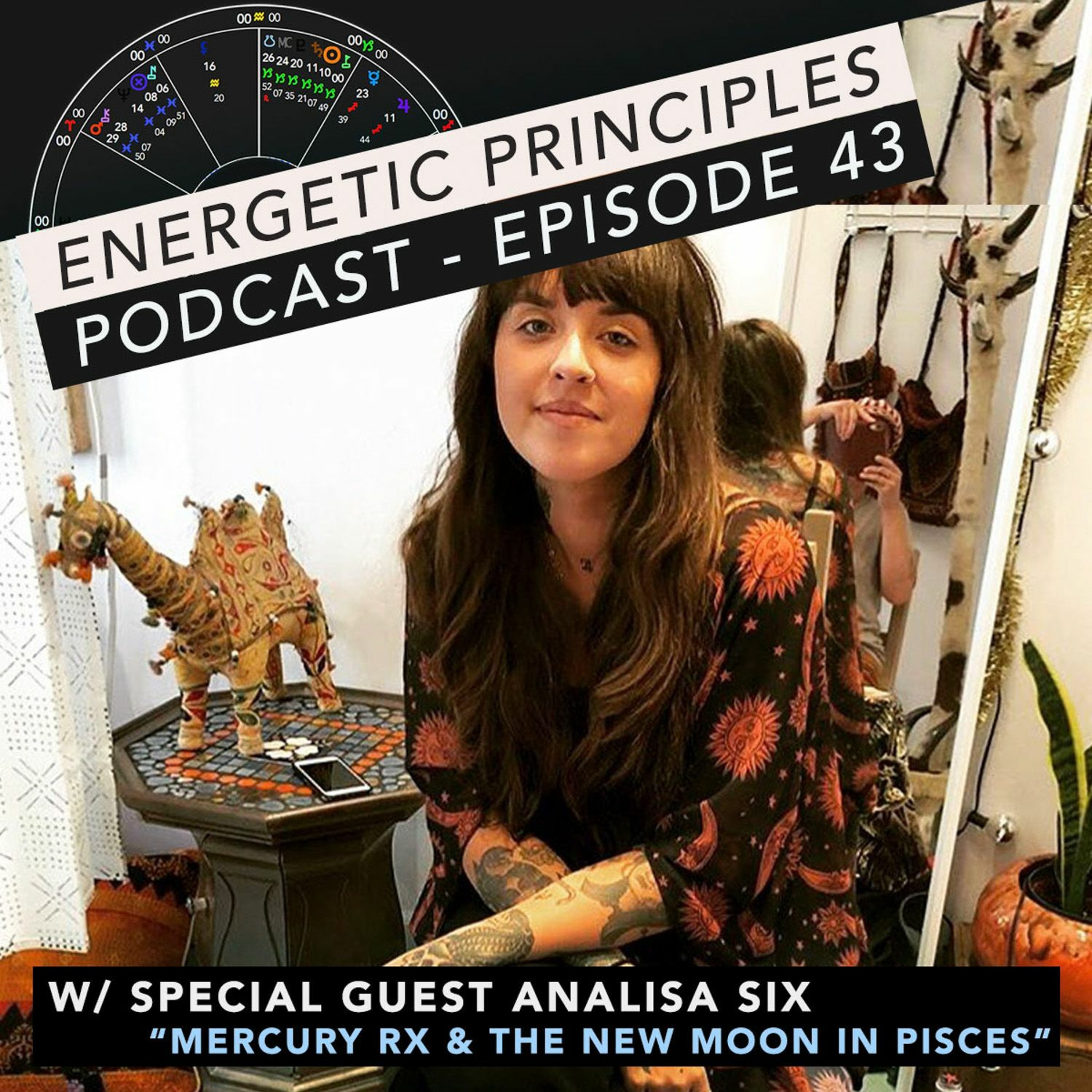 Energetic Principles Podcast