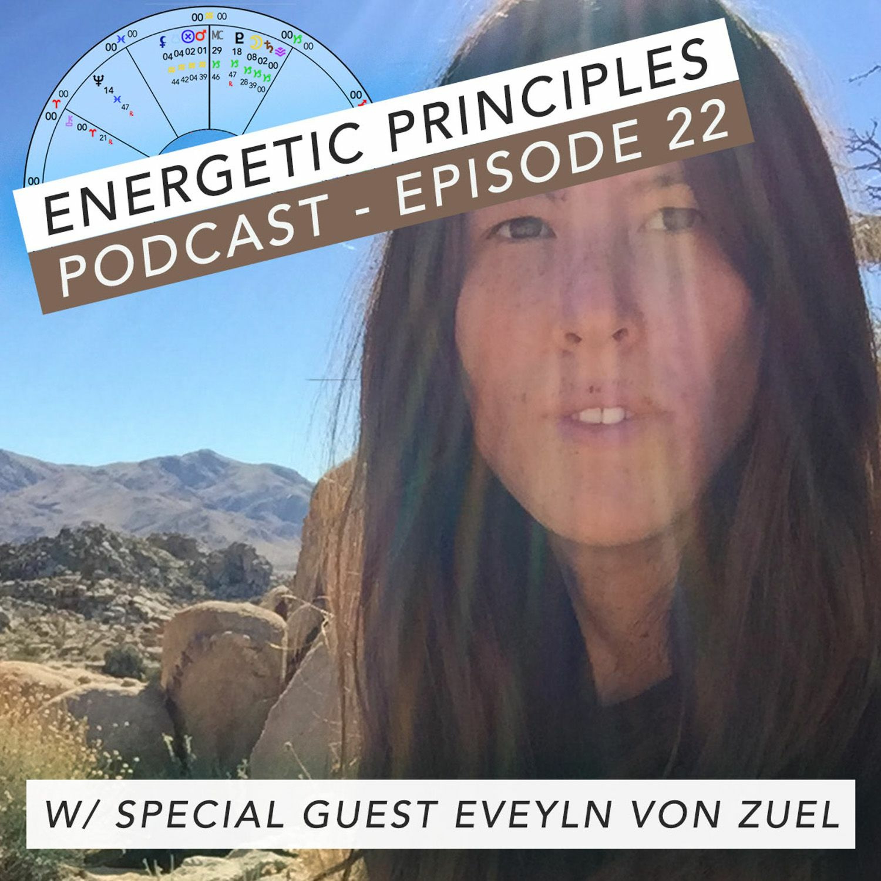 Energetic Principles Podcast