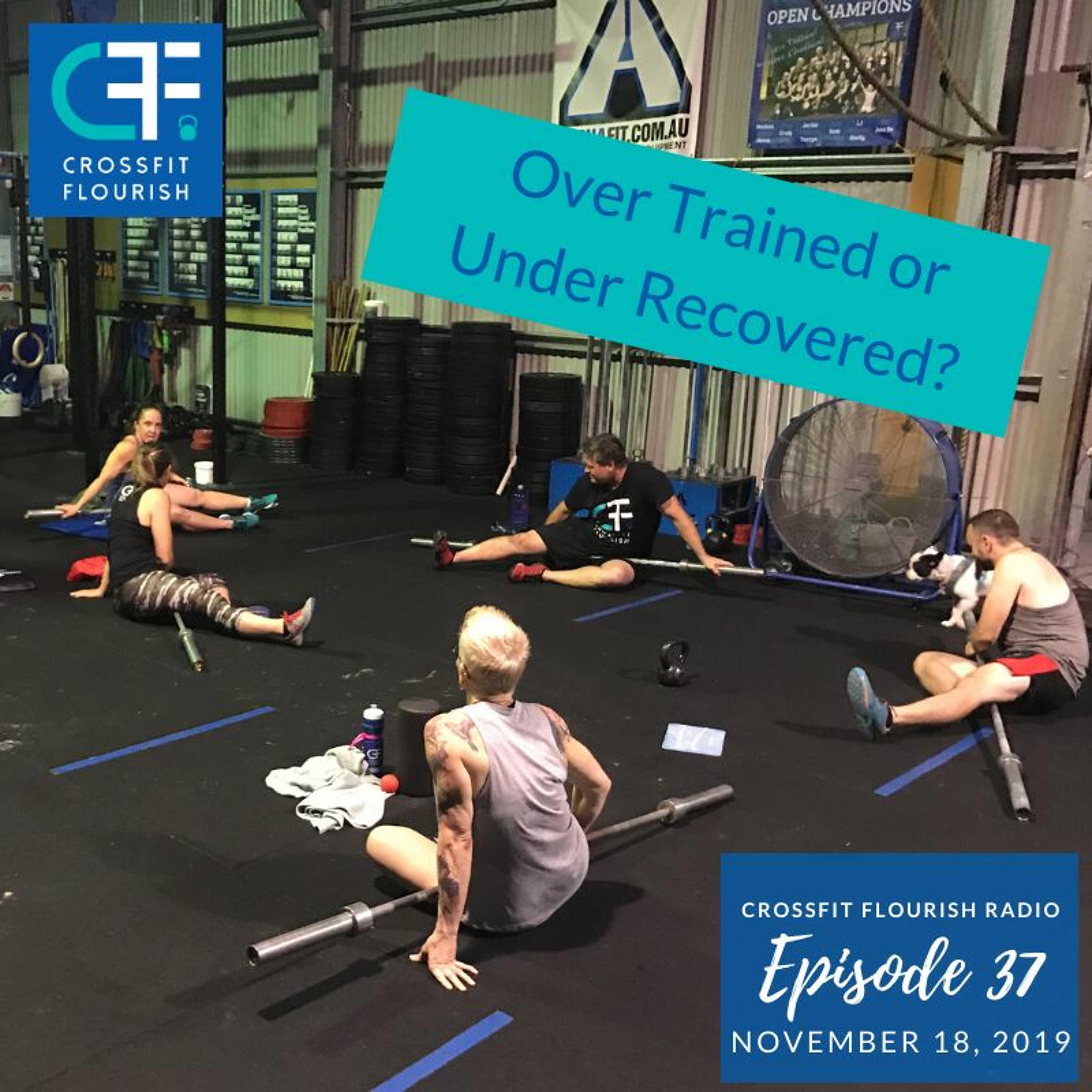 Training vs Competing and Overtraining vs Under Recovery episode artwork