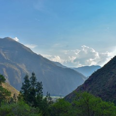 Andres - Porta De Pachamama