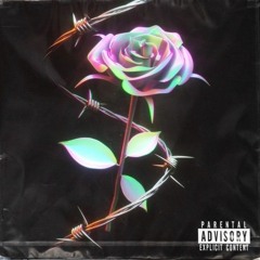 SPIDER W/ Vaunie Beats