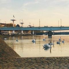 Sous Le Pont Lamartine